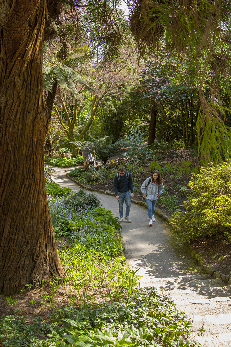 Trelissick Garden